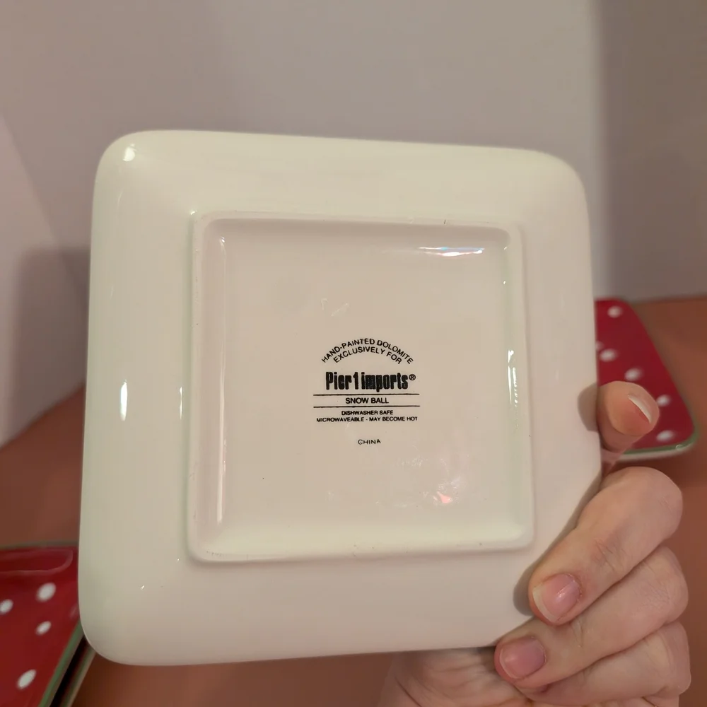 Pier 1 Imports Hand-Painted Set of 4 Snowball Square Appetizer Plates Set